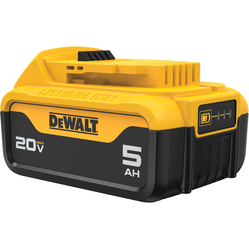 Bloc-piles Max XR Premium, Lithium-ion, 20 V, 5 A Par Equipment