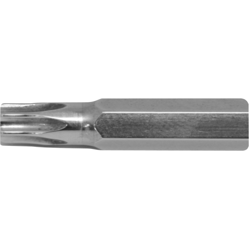 Embout de rechange pour tournevis multi embouts Stubby, Torx, 8, Prise 1/4" Par Equipment