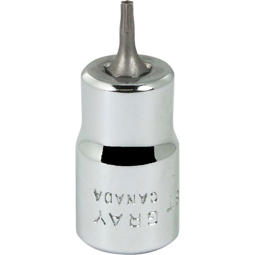 Douille &agrave; embout, Torx, T8 x 2-1/8" lo, Prise 3/8" Par Equipment