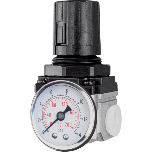 Air Regulator (Gauge Included), 1/4" NPT, 220 PSI Max. PSI, Modular Par Equipment