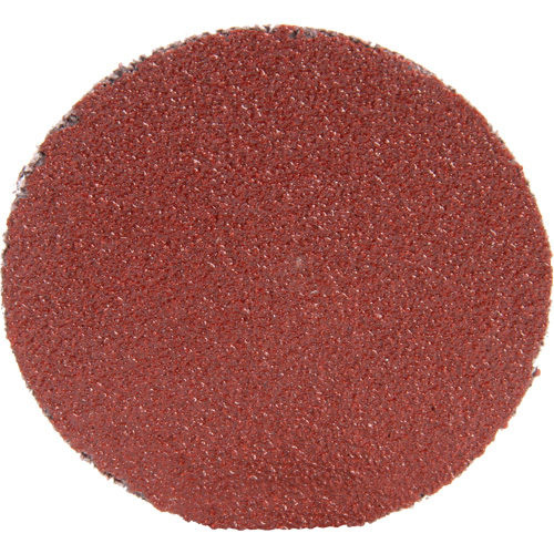 Disque 361F Roloc, 1-1/2" dia., Grain P100, Oxyde d'aluminium Par Equipment