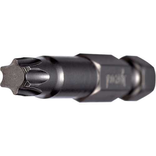 Embout pour outil &eacute;lectrique, Torx, Embout T-20, Prise 1/4", Longueur 3-1/2" Par Equipment