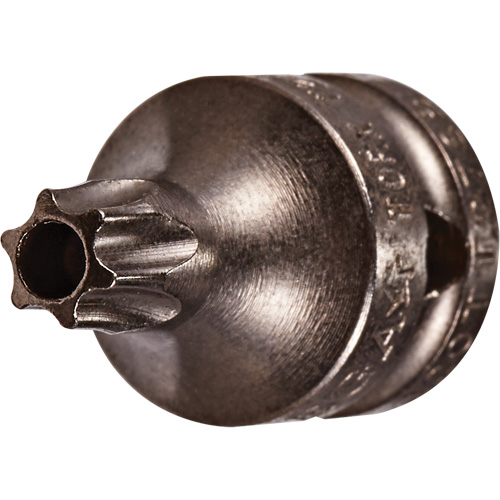 Embout &agrave; ins&eacute;rer, Torx inviolable, 8 x 3/4" lo, Prise 1/4" Par Equipment