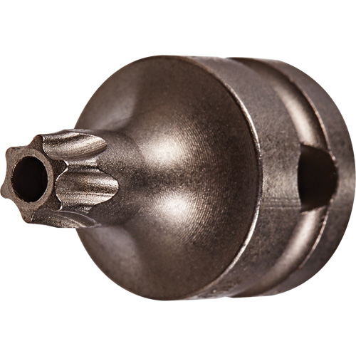 Embout &agrave; ins&eacute;rer, Torx inviolable, 25 x 1" lo, Prise 3/8" Par Equipment
