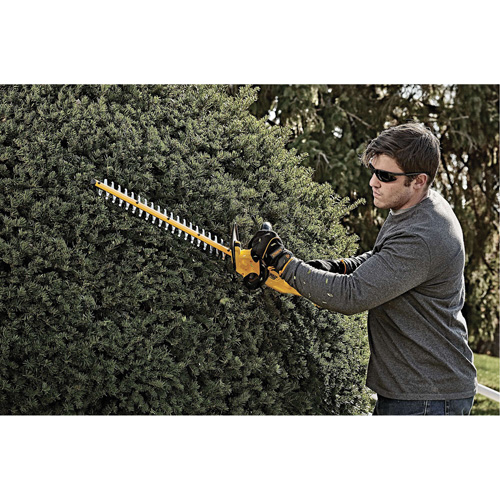 Taille-haie sans fil Max, 22", 20 V, &agrave; pile Par Equipment