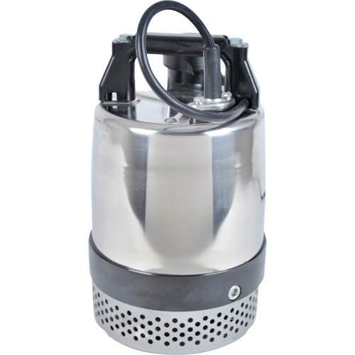 Pompe utilitaire s&eacute;rie FLS/FS, 1 CV, 80 gal./min, 115 V, 10 A Par Equipment