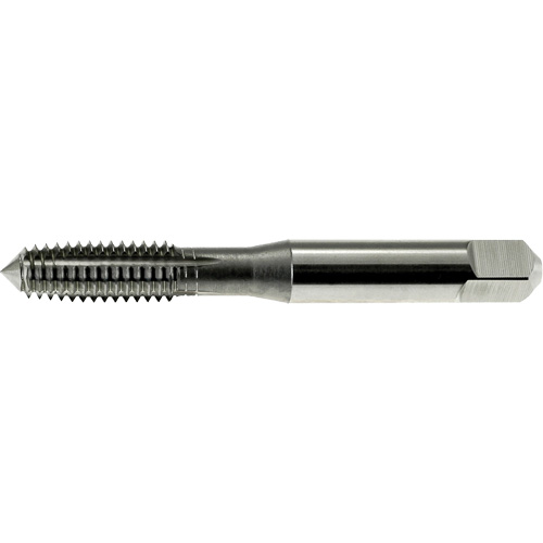 DRILLCO Thread Forming Tap, High Speed Steel, 1/4"-20 Thread Par Equipment