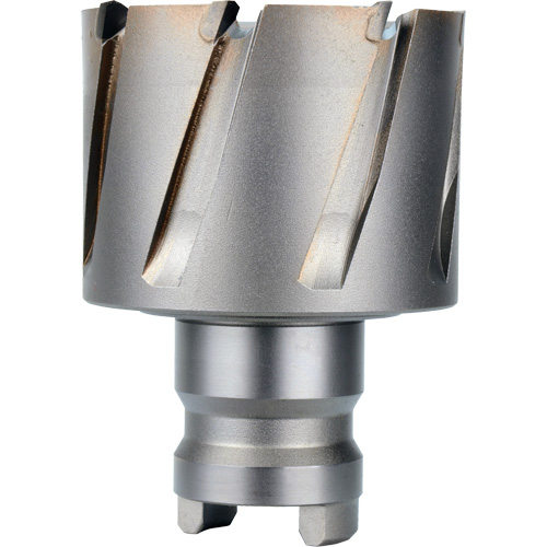 Quick Change Tang Drive Hawg&reg; Cutter, 2" Diameter, Steel, 1" Depth of Cut Par Equipment