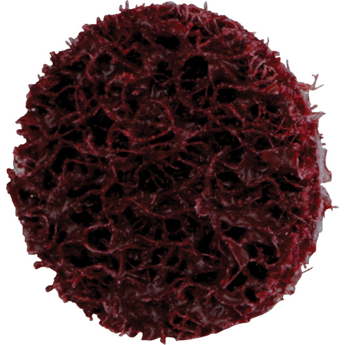 Disque de conditionnement de surface &agrave; remplacement rapide Standard Abrasives, 3/4" dia., Grain Moyen, Oxyde d'aluminium Par Equipment