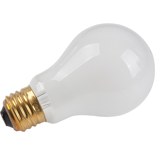 Economy Line Incandescent Lamps Par Equipment