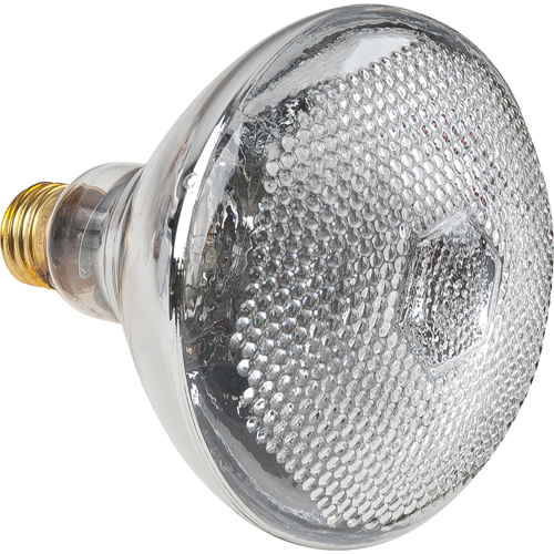 Economy Line Incandescent Lamps Par Equipment
