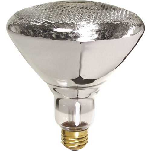 Economy Line Incandescent Lamps Par Equipment