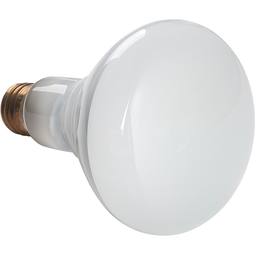 Economy Line Incandescent Lamps Par Equipment