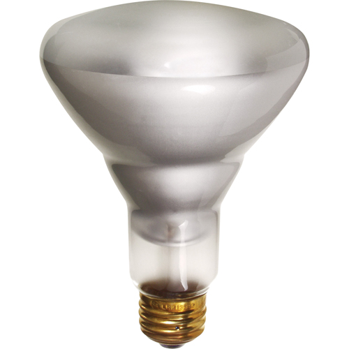 Economy Line Incandescent Lamps Par Equipment