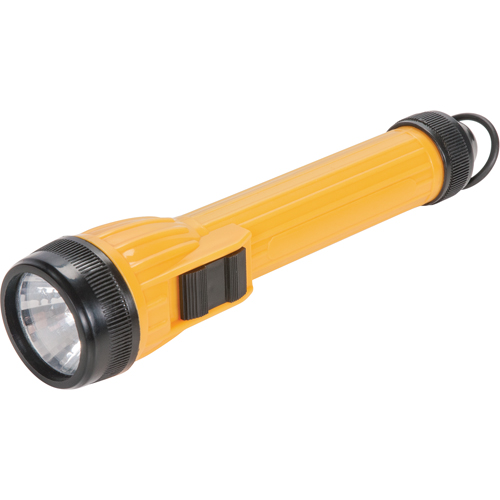 Lampe de poche AFL100, DEL, 28 lumens, Piles AA Par Equipment