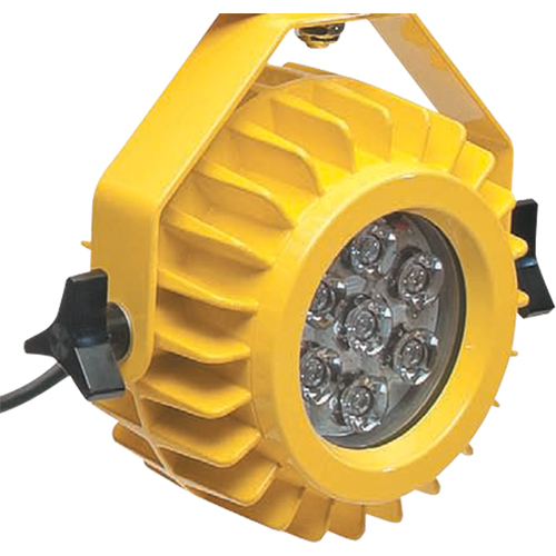 Heavy-Duty LED Dock Light - Head Only Par Equipment