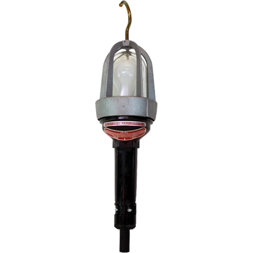 Baladeuses pour emplacements dangereux, DEL, 20 W, 2400 Lumens Par Equipment
