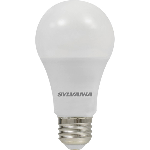 Ampoule DEL, A19, 8,5 W, 800 lumens, base Moyen Par Equipment