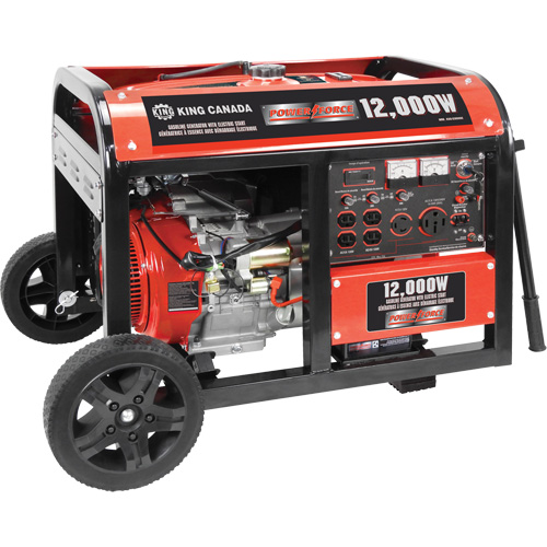 Electric Start Gas Generator with Wheel Kit, 12000 W Surge, 9000 W Rated, 120 V/240 V, 31 L Tank Par Equipment