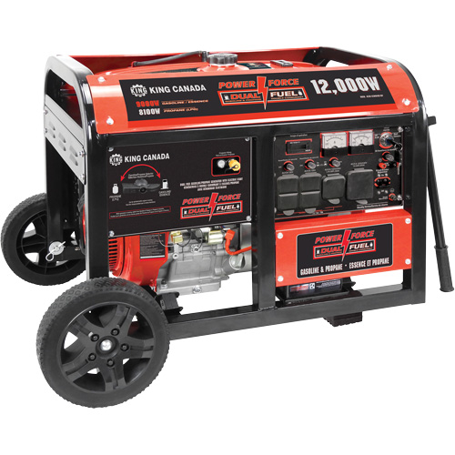 Gasoline/Propane Generator with Electric Start Par Equipment