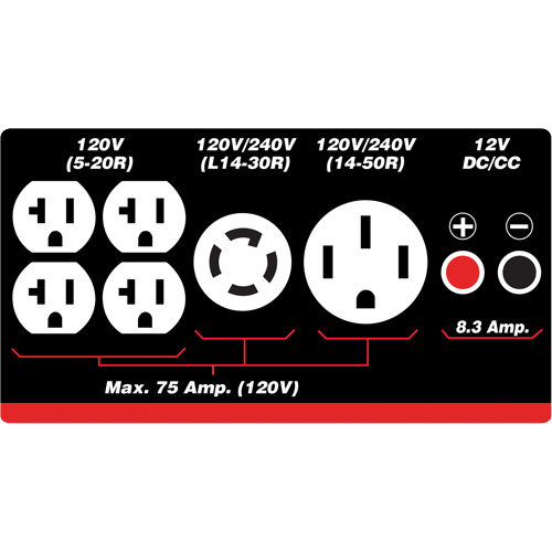 Gasoline/Propane Generator with Electric Start Par Equipment