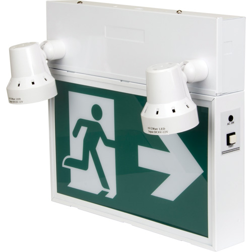 Running Man Sign with Security Lights, LED, Battery Operated/Hardwired, 12-1/10" L x 11" W, Pictogram Par Equipment
