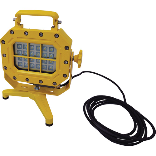 Explosion Proof Floodlight with Stand, LED, 40 W, 5600 Lumens, Aluminum Housing Par Equipment