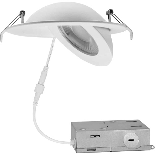 Gimbal Light Fixture, LED, 120 V, 9 W Par Equipment