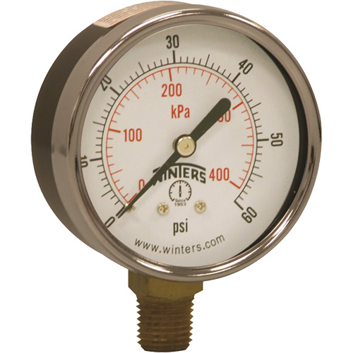 Economy Pressure Gauge, 2-1/2" , 0 - 60 psi, Bottom Mount, Analogue Par Equipment