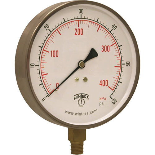 Stainless Steel Pressure Gauge, 2-1/2" , 30" Hg Vac., Bottom Mount, Liquid Filled Analogue Par Equipment