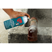 3&reg; Premier Rust Inhibitor, Aerosol Can Par Equipment