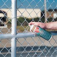 Inhibiteurs de corrosion galvanis&eacute;s &agrave; froid &agrave; rev&ecirc;tement brillant, Canette a&eacute;rosol Par Equipment