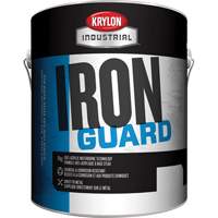 &eacute;mail industriel &agrave; base d'eau Iron Guard, 3,78 L, Gallon, Rouge Par Equipment