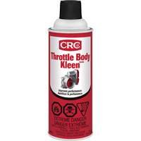 Throttle Body Kleen Air Intake Cleaner, Aerosol Can Par Equipment