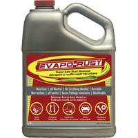 Evapo-Rust<sup>®</sup> Super Safe Rust Remover, Jug AH142 | Par Equipment