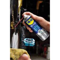 Bike Chain Lubricant, Aerosol Can Par Equipment