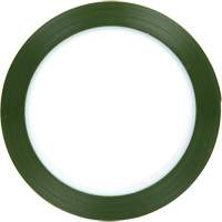 Polyester Tape, Polyester, 50.8 mm (2") W x 66 m (216') L, 1.9 mils Thick Par Equipment