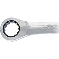 Non-Reversing Ratcheting Combination Wrench Par Equipment