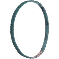 Scotch-Brite Surface Conditioning File Belts Par Equipment