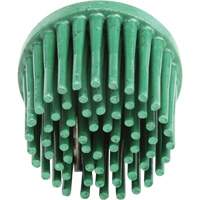 Disques bristle Roloc, Grain 120, 1" dia. Par Equipment
