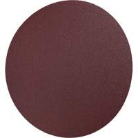 Disque en toile PSA 248D, 12" dia., Grain 36, Oxyde d'aluminium Par Equipment