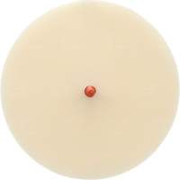Disque Scotch-Brite 7502 pour retrait de colle et de bandes de moulage, 6" dia. Par Equipment