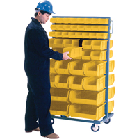 Double-Sided Mobile Bin Rack, Double-sided, 96 bins, 36" W x 24" D x 63" H Par Equipment