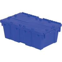 Flipak&reg; Polyethylene Plastic (PE) Distribution Containers, 19.7" x 11.8" x 7.3", Blue Par Equipment