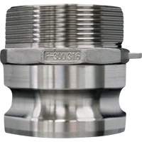 Cam & Groove Coupling, Stainless Steel, Type F, 3/4", Male NPT, 250 PSI Par Equipment