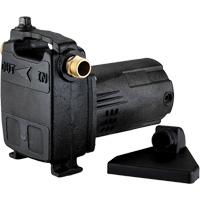 Portable Cast Iron Transfer Pump, 115 V, 950 GPH, 1/2 HP DC841 | Par Equipment