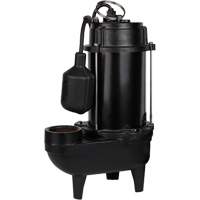 Cast Iron Effluent Pump, 5600 GPH, 120 V, 10 A, 3/4 HP DC847 | Par Equipment