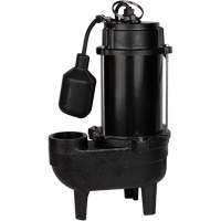 Cast Iron Sewage Pump, 120 V, 9.5 A, 6000 GPH, 1/2 HP DC850 | Par Equipment