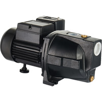 Dual Voltage Cast Iron Shallow Well Jet Pump, 115 V/230 V, 1100 GPH, 1 HP DC853 | Par Equipment