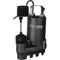 Cast Iron Submersible Sump Pump with Vertical Float Switch, 67 GPM, 33 V, 5 A, 1/3 HP Par Equipment